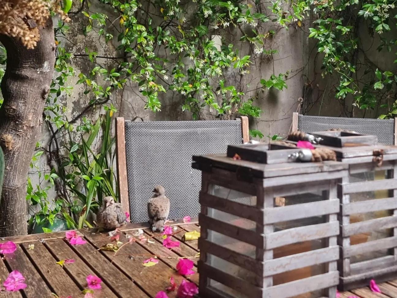 Hotel Mi Casa De Buenos Aires Zewnętrze zdjęcie
