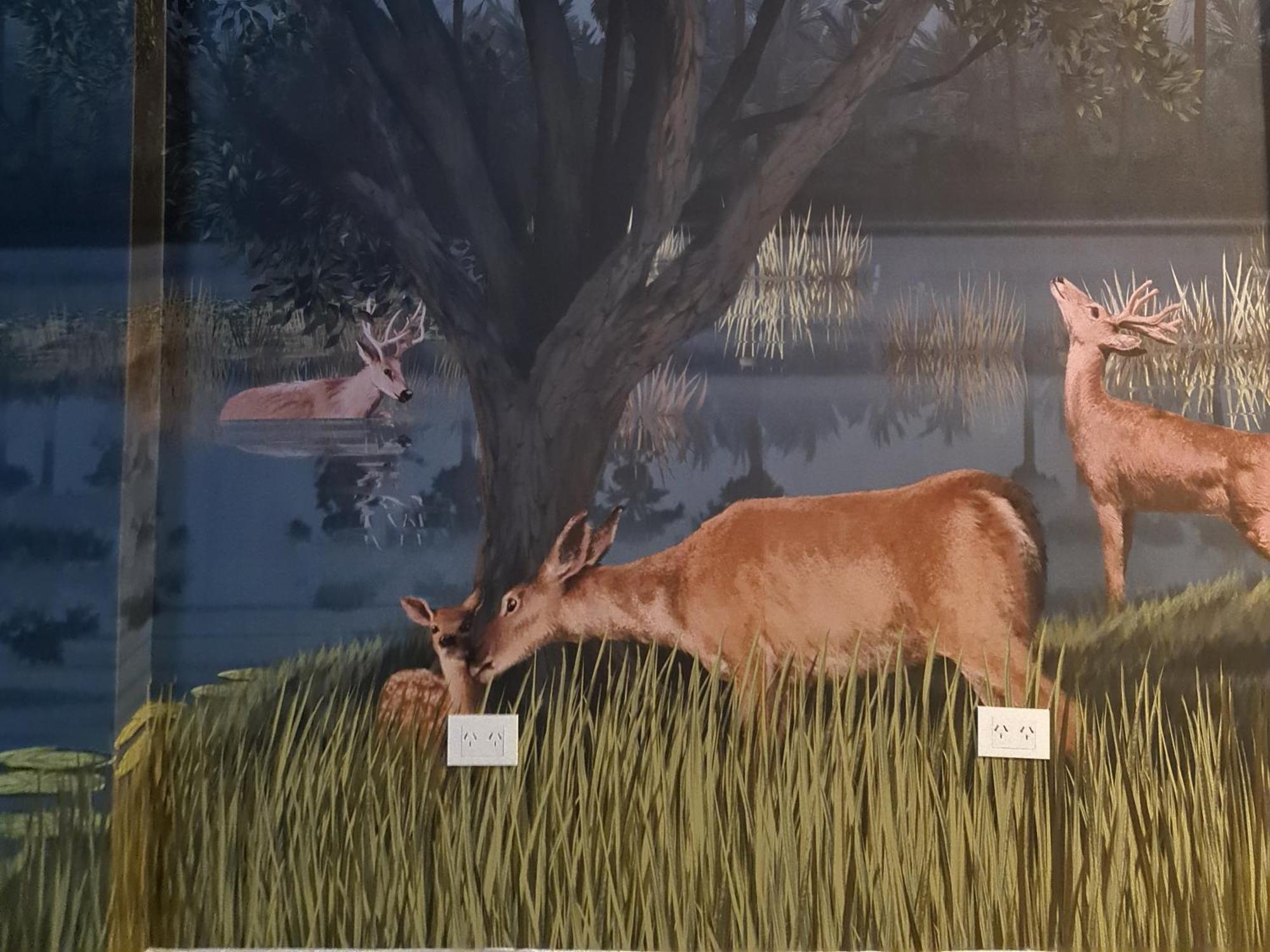 Hotel Mi Casa De Buenos Aires Pokój zdjęcie